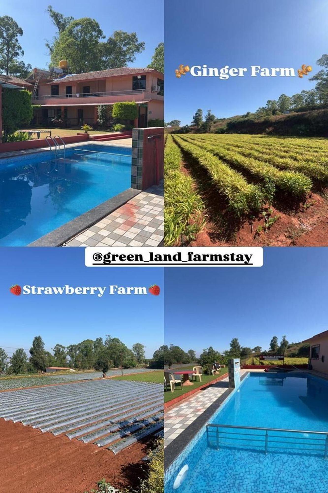 Greenland Stay Mahabaleshwar Exterior photo